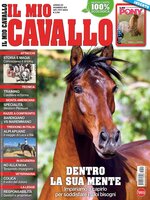 Il mio Cavallo
